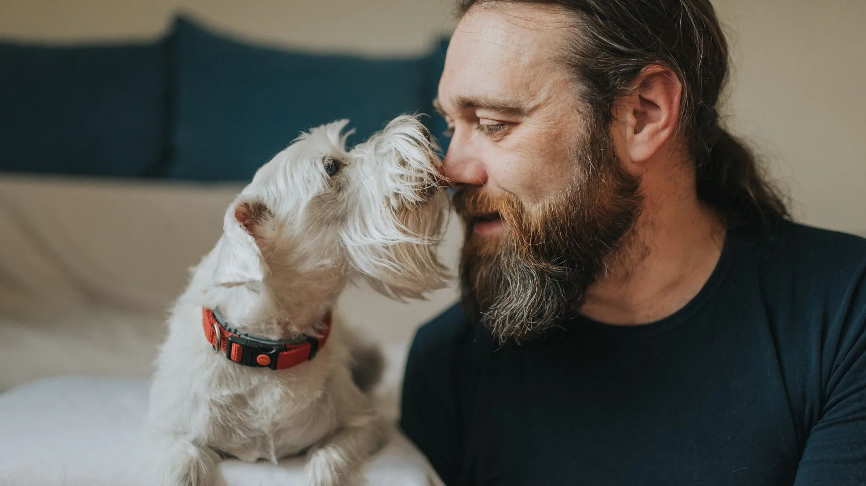 Enhancing Wellness for Grieving Pet Owners Through Online Community Support